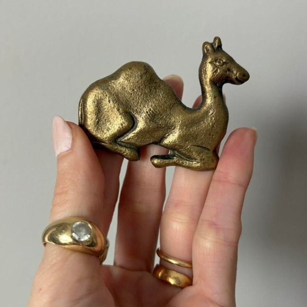 Brass camel trinket